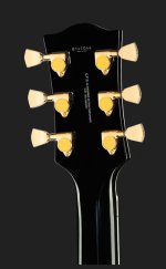 2-Headstock-Back.jpg