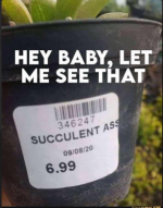1746199534578.png