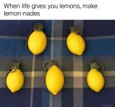 IMG_9777.jpeg