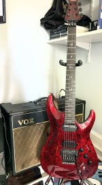 IMG_0168.jpeg