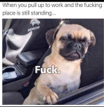 1747856874835.png