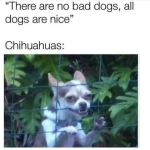 1748360459782.png