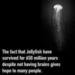 1748755661396.jpeg