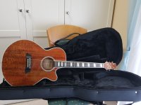 2.121 Takamine TSP178 ACK.jpg