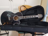 2.122 Takamine FPT181 SBL.jpg
