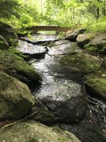 IMG_0576.JPG