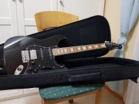 6.1.11 Stagg SES-60 Cst.jpg