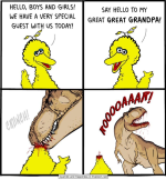 BigBird6.png