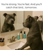 IMG_2824.jpeg