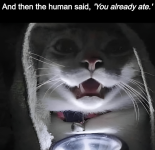 Screenshot 2025-08-10 011629.png