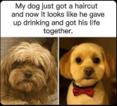 1758563642334.png