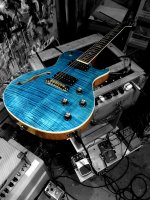 PRS SE ZM & Monoprice 15W.jpg PRS SE ZM & Monoprice 15W.jpg