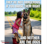 IMG_4012.png