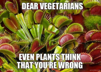 1781893257172.png