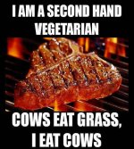 IMG_4670.jpeg