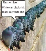 1785276580365.png