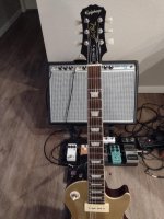 LP neck.jpg